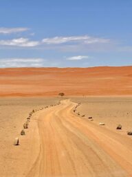 Mein Reisebericht, Rundreise von Kapstadt nach Namibia Teil 1