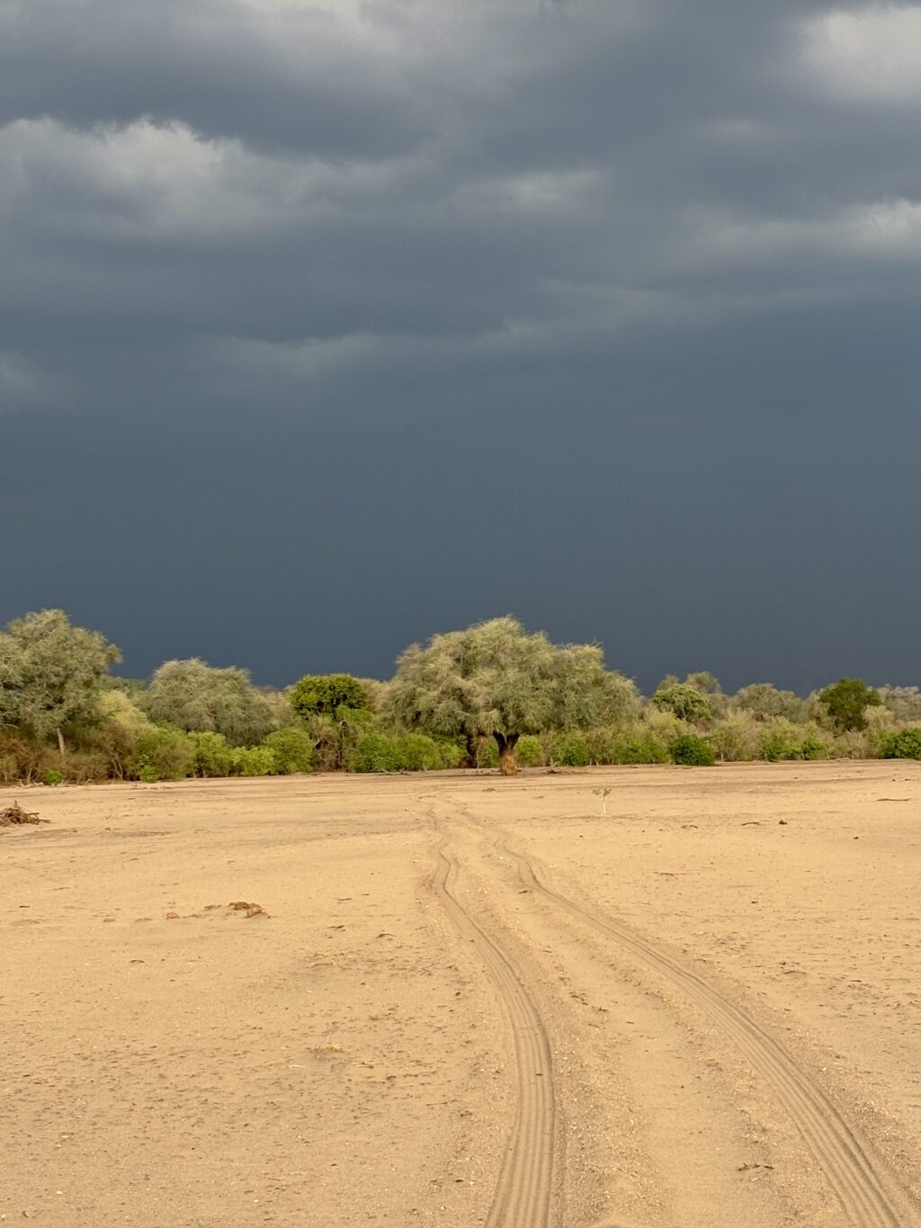 Gewitter